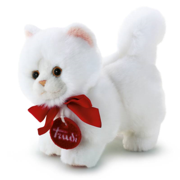 600 TRUDINO GATTO PERSIANO