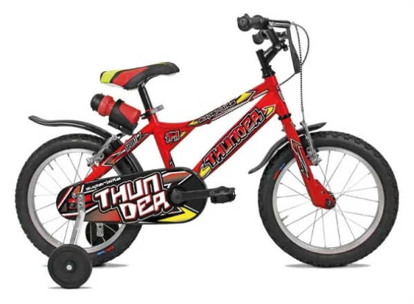 440 BICI CICLO 12